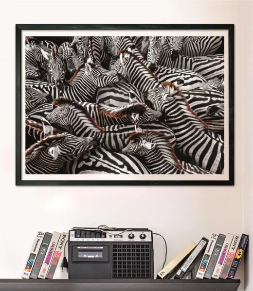 Clementoni National Geograpic Collection Zebra (1000 Brikker)